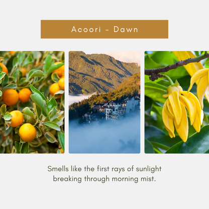 Dawn