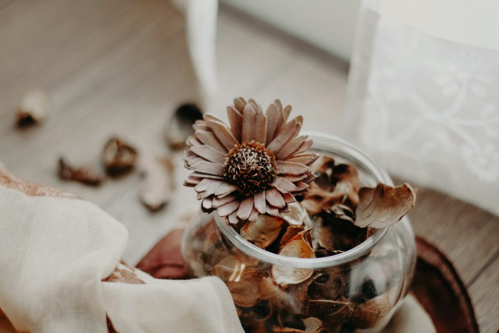 brown petaled flowers in vase inside room at daytime